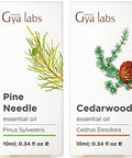 Gya Labs Pine Needle Oils For Diffuser & Cedarwood Oil For Hair Set - Aromatherapy Grade Essential Oils Set - 2X0.34 Fl Oz - Gya Labs
