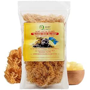 Purple Sea Moss | Irish Sea Moss | Wildcrafted - 100% Natural, Makes 120+ oz of Seamoss Gel, for Health & Wellness | Dr. Sebi - 8oz