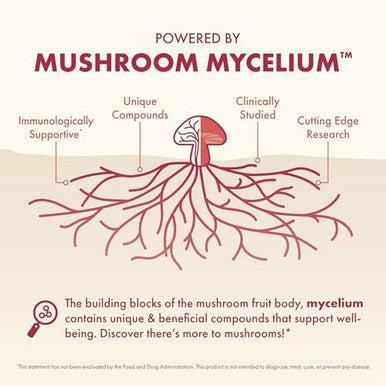 Host Defense Mycobenefits Beauty Capsules Supplement Health Aid Mushroom Supplement With Biotin & Hyaluronic Acid 60 Capsules (30 Servings)