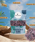 100% Wildcrafted Full Spectrum Purple Sea Moss | Irish Sea Moss | Sun dried | 92 Minerals - Makes 20 + oz of Sea Moss Gel | Full Spectrum Purple Sea Moss (4oz)
