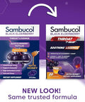 Sambucol Black Elderberry Pastilles 20 Count - Pack Of 4