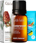 Gya Labs Cedarwood & Peppermint Essential Oil Set - Aromatherapy Grade Essential Oils Set - 2X0.34 Fl Oz - Gya Labs