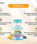 10-In-1 Immune System Support Booster With Elderberry, D3, Selenium, Quercetin, Zinc, Vitamin C, Ginger, Turmeric Curcumin, B6, Echinacea ÃƒÂ¢Ã¢â€šÂ¬Ã¢â‚¬Å“ Natural Immune Defense ÃƒÂ¢Ã¢â€šÂ¬Ã¢â‚¬Å“ Made In Usa (60 Count (Pack Of 2))