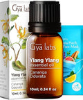 Gya Labs Ylang Ylang Essential Oil For Skin 0.34 Fl Oz Premium Grade Essential Oils For Diffuser Aromatherapy Hair Care Skin Care Body Massage & Diy Candle Making Scents