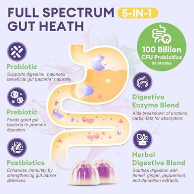 Totaria Sugar Free 5 in 1 Probiotic Prebiotic Postbiotic Gummy 36 Strains Probiotics for Women Men with Digestive Enzymes Peppermint Complete Immune Gut and Digestive Support Vegan