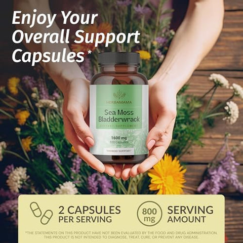 HERBAMAMA Bladderwrack and Sea Moss Kit Bundle of 1200 mg Bladderwrack and 1600 mg Sea Moss with Bladderwrack Capsules Vegan NonGMO GelatinFree 2 Pack