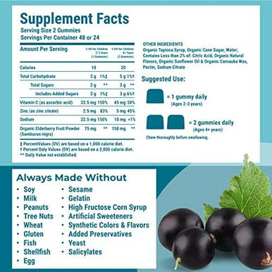 Hyland'S Naturals Kids Organic Elderberry Plus Gummies Organic Black Elderberry With Zinc And Vitamin C Immune Support For Children 48 Vegan Gummies (2 Pack)