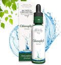 Buried Treasure Liquid Chlorophyll Drops Copper Chlorophyllin From Mulberry Leaves Manufactured In Usa Vegan Supports Overall Wellness Unflavored 30 Servings.