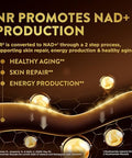Swisse Plus Nad+ Beauty Restore Clinically Tested Ingredients Nad+ Supplement For Men & Women Supports Collagen Formation, Skin Elasticity & Anti-Aging Supplement 30 Capsules