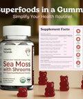 Sea Moss Gummies with Lions Mane Mushroom Sea Moss Gel Alternative with Irish Moss Reishi Cordyceps Chaga and Turkey Tail Supplement Focus Gummy Without Coffee 60 ct