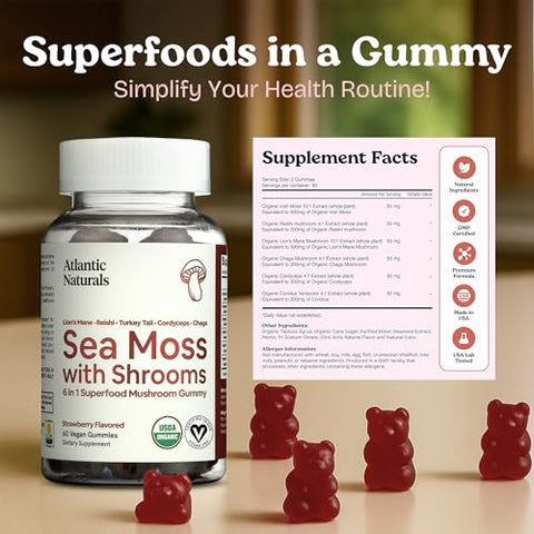 Atlantic Naturals Sea Moss Gummies with Lions Mane Mushroom Sea Moss Gel Alternative with Irish Moss Reishi Cordyceps Chaga and Turkey Tail Supplement Focus Gummy Without Coffee 60 ct