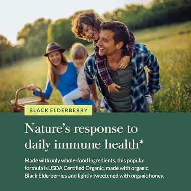 Gaia Herbs Black Elderberry(Sambucus Nigra) Syrup Extra Strengthimmune Support Supplementmade With Organic Black Elderberries For Immune Systemusda Organic Formula