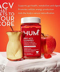 Hum Pro Acv Gummies 100% Organic Apple Cider Vinegar With The Mother Probiotics For Digestive Health & B12 For Metabolism Support (60 Count)