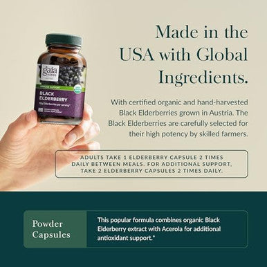 Gaia Herbs Black Elderberry Daily Immune Support Supplement To Help Maintain Wellbeing With Black Elderberries And Acerola Fruit For Antioxidant Support 120 Vegan Capsules (60Day Supply)