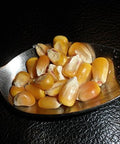 Whole Yellow Corn 5 Pounds, USDA Certified Organic, Non-GMO, Product of USA, Mulberry Lane Farms