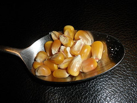 Whole Yellow Corn 5 Pounds, USDA Certified Organic, Non-GMO, Product of USA, Mulberry Lane Farms