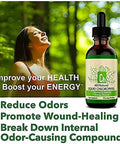Liquid Chlorophyll Drops for Water, Vegan & Non-GMO, Energy Booster, Concentrate Liquid Drips