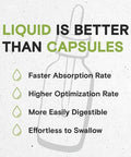 Secrets of the Tribe Guduchi Tincture Alcohol Extract, High-Potency Herbal Drops, Tincture Made from Wildcrafted Guduchi (Tinospora cordifolia) Dried Stem 4 oz