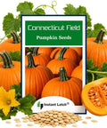 Connecticut Field Pumpkin Seeds | Non-GMO | Heirloom | Instant Latch Fresh Garden Seeds, Orange | NON GMO, Heirloom Seeds, Instant Latch Fresh Garden Seed