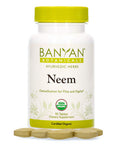 Banyan Botanicals Neem Tablets Organic Neem Leaf (Azadirachta Indica) Supports Natural Detoxification, Healthy Skin, And Immune Health* 90 Tablets Non-Gmo Sustainably Sourced Vegan