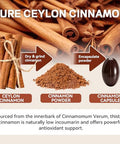 Allbiz Ceylon Cinnamon Softgels 360 Count With Mct Oil Sourced From Sri Lanka Low Coumarin Formula Easy-To-Absorb Cinnamon Extract Non-Gmo & Gluten Free Capsules For Daily Wellness