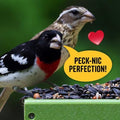 Cool Birds All Birds Wild Bird Seed, 10 lb | Classic Blend with Black Oil Sunflower, White Millet, Safflower, Peanuts & Sunflower Hearts