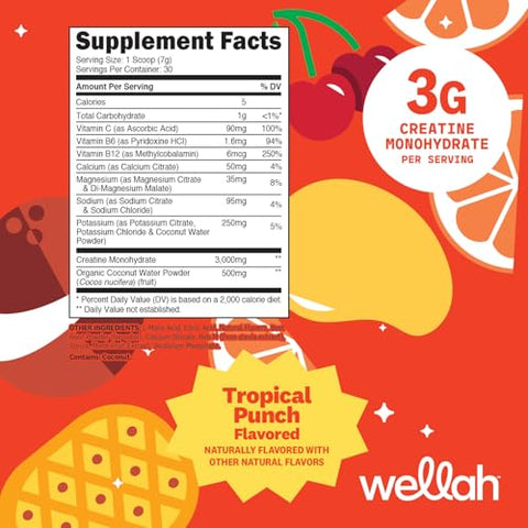 Wellah Creatine Electrolytes Powder (Fruit Punch) 30 Servings - Hydration Drink Mix With 3G Of Creatine Monohydrate