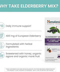 Himalaya Elderberry Mix Drink Mix Supplement Immune Support With Elderberry Zinc Vitamin C And Holy Basil Caffeine 100.15 Oz (4.3 G) Packets Easy To Mix Gluten