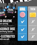 Animal Creatine Chews Tablets - Enhanced Creatine Monohydrate With Astragin To Improve Absorption, Sea Salt For Added Pumps, Delicious And Convenient Chewable Tablets - Fruit Punch