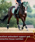Vita Flex Pro Pure C Antioxidant Premium Quality Horse Vitamin C Supplement Collagen Support for Horses Antioxidant Supplement 2 lb 128Day Supply