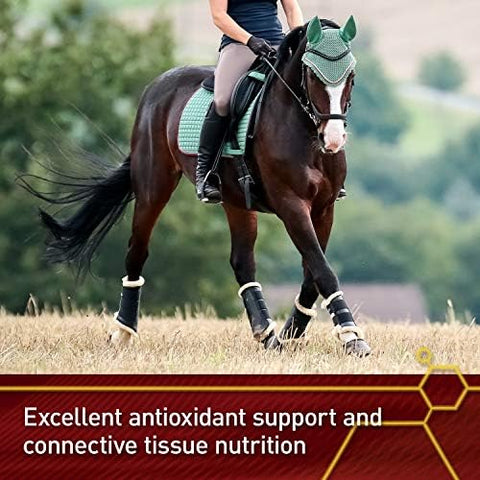 Vita Flex Pro Pure C Antioxidant Premium Quality Horse Vitamin C Supplement Collagen Support for Horses Antioxidant Supplement 2 lb 128Day Supply