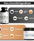 Atlantic Naturals Sea Moss Superfood Bundle - Sea Moss With Shilajit 5-In-1 Capsules & Sea Moss Powder With Ashwagandha Beet Root & Maca Root - Enhanced Vitality Skin & Athletic Support 60 Ct & 150G
