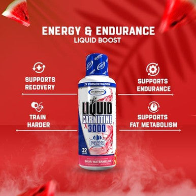Gaspari Nutrition Liquid Lcarnitine 3000 Stimulant Increased Metabolism Enhanced Energy Non Gmo Gluten Bpa (32 Servings Sour Watermelon)