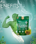 KIKI Green Irish Sea Moss Powder 8 Oz with Bladderwrack Burdock Root Extract for Immune Support Keto Vegan Supplement