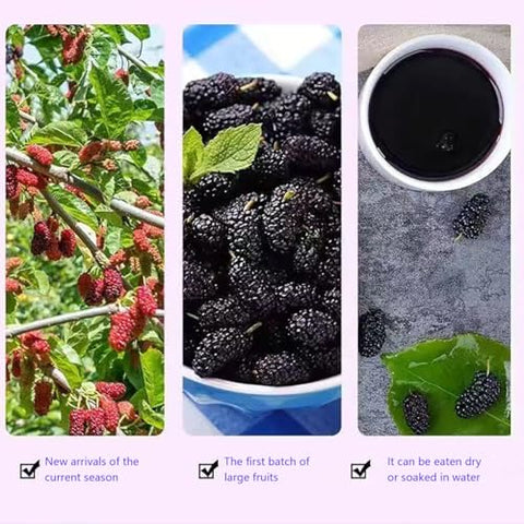 Dried black mulberries 10.58oz. Snacks and baked mulberry tea without sugar