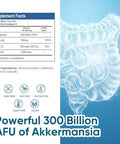 300 Billion Afu Akkermansia Probiotic Supplement - 120 Capsules 2 Month Supply Supports Digestive, Immune & Overall Health - Increases Glp-1 Production - For Men & Women