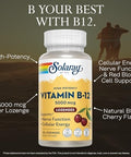 Solaray Vitamin B12 5000mcg Lozenges B12 Vitamins 5000 mcg Methylcobalamin Lozenges for Women and Men Methylated B Vitamins for Energy Support and Nerve Health Natural Cherry Flavor 30 Count