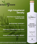 Pura Grove Organic Cold Pressed Extra Virgin Olive Oil Premium Grade - High Polyphenol - Hand Harvested & California Grown - 16.9Oz Opaque Glass Bottle 2024 Harvest 2025 Bottled
