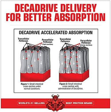 Musclemeds Amino Decanate Energy Pre Intra Workout Drink Essential Amino Acids Bcaas High Leucine Glutamine Muscle Recovery Strawberry Kiwi 30 Servings