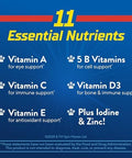 L'il Critters Paw Patrol Gummy Vites Daily Gummy Multivitamin for Kids Vitamin C D3 for Immune Support Cherry Orange and Blueberry Flavors 190 Gummies