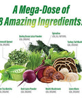 Myogenix Myovite Super Greens Supplement Powder - Super Greens Powder For Men And Women Daily Vitamin Supplement For Optimum Nutrition Grown In Usa - Organic Supplements 30 Servings