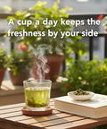 DYBOEDYO Mulberry Leaf Tea 12.35oz/350g,Mulberry Leaves Tea,Sun-Dried Mulberry Loose Leaves Sang Ye Tea, Ã¦Â¡â€˜Ã¥ÂÂ¶Ã¨Å’Â¶ Ã¦Â¡â€˜Ã¨â€˜â€°Ã¨Å’Â¶
