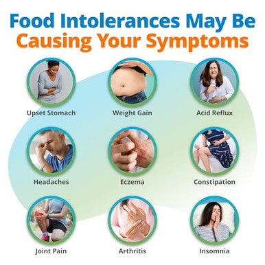 5Strands Comprehensive Gut Health Test For Adults & Kids 1000 Food Items Tested Non-Invasive At Home Hair Sample Screening For Food Intolerances Results In 4 Days