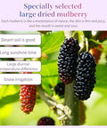 Wanhua Hall Premium Dried Black Mulberries Fruit Black Mulberry Tea No Sugar Added, No Additives, All Natural, Unsulfured Great for Desserts and Tea, Healthy Fruit Snack Ã©Â»â€˜Ã¦Â¡â€˜Ã¦Â¤Â¹Ã¥Â¹Â² Ã¦Â¡â€˜Ã¨â€˜Å¡280g/10oz