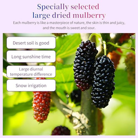Wanhua Hall Premium Dried Black Mulberries Fruit Black Mulberry Tea No Sugar Added, No Additives, All Natural, Unsulfured Great for Desserts and Tea, Healthy Fruit Snack Ã©Â»â€˜Ã¦Â¡â€˜Ã¦Â¤Â¹Ã¥Â¹Â² Ã¦Â¡â€˜Ã¨â€˜Å¡280g/10oz