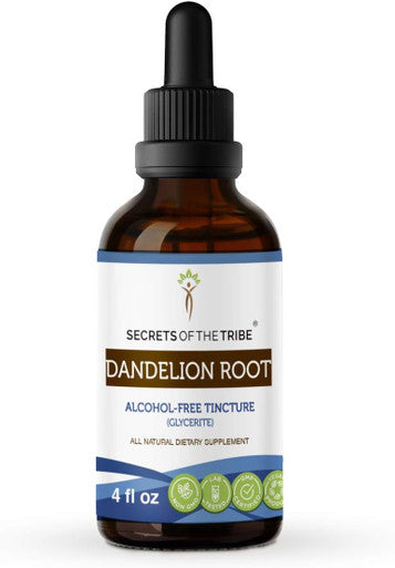 Secrets of the Tribe Dandelion Root Alcohol-Free Liquid Extract, Dandelion (Taraxacum Officinale) Dried Root Tincture Supplement (4 FL OZ)