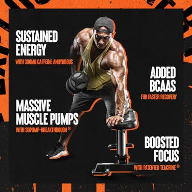 Animal Primal Muscle Hydration + Preworkout Powder Ã¢â‚¬â€œ Contains Beta Alanine 3Dpump Caffeine & Electrolytes Ã¢â‚¬â€œ Improves Energy Focus Endurance & Absorption Ã¢â‚¬â€œ Fruit Punch Flavor 17.9 Oz