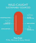 Total Omega3 Fish Oil from Wild Sockeye Salmon Alaskan Pollock Antarctic Krill Oil Astaxanthin Phospholipids Wax Esters for Better Absorption 960mg of EPA DHA Fatty Acids 120 Softgels
