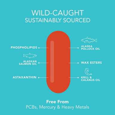 Total Omega3 Fish Oil from Wild Sockeye Salmon Alaskan Pollock Antarctic Krill Oil Astaxanthin Phospholipids Wax Esters for Better Absorption 960mg of EPA DHA Fatty Acids 120 Softgels