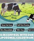 Marafiki Liposomal Bovine Colostrum Supplement - Grass Fed Colostrum Powder - High Bioavailability Easy to Mix (60 Servings)